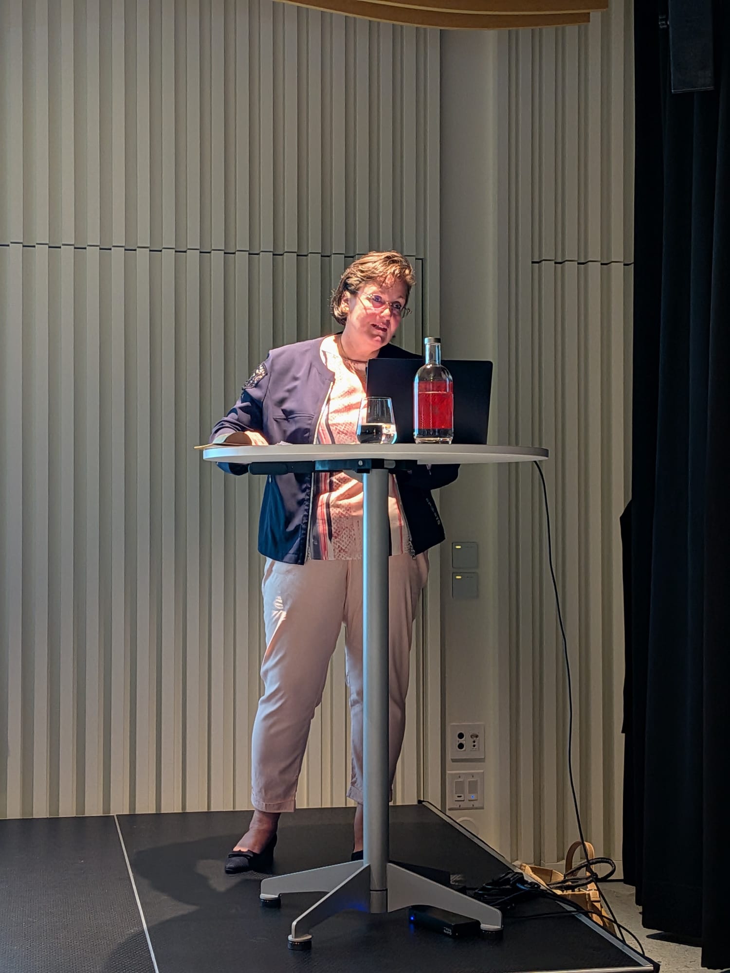 Conférence des 15 ans de la Maison-Soleil